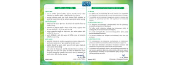 Corporate Environment Policy