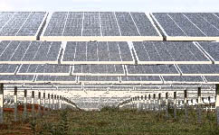 Renewable Projects