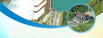Existing Joint Ventures / Subsidiaries