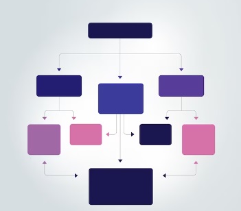Organization Chart