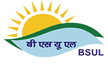bsulindia logo